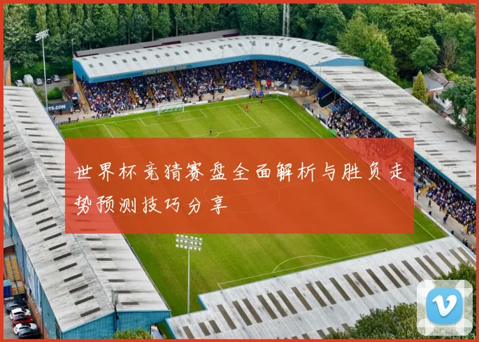 世界杯竞猜赛盘全面解析与胜负走势预测技巧分享